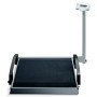 Digital Wheelchair Weighing Platform Scale SECA 665