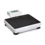 Portable personal scale – Professional use Max capacity: 300 Kg - Div. 100 g