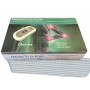 Dispositivo Medico Magnetoterapia Dì PLUG DP100-004 con stuoia 80 x 190