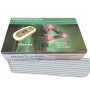 Medizinprodukt Magnetfeldtherapie Dì PLUG DP100-004 mit Doppelmatte 160 x 190