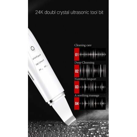 Scrubber anteamed facial skin scrubber, pore cleaner, exfoliating cleaner - roz