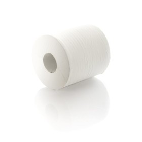 Paper Towel Roll - 320M