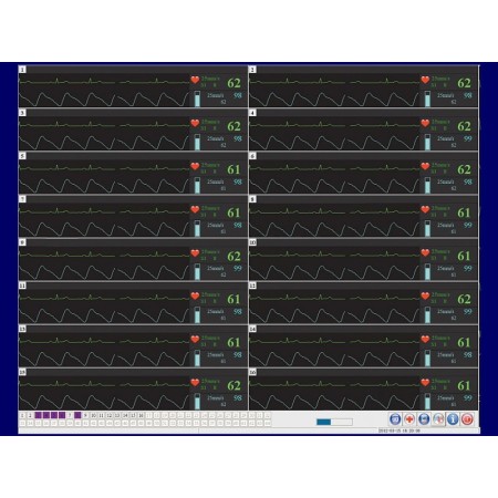 Software de estação central