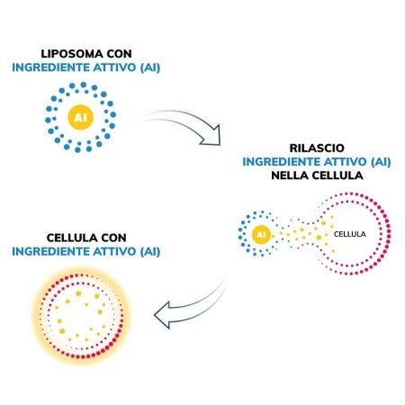 Anteamed liposomal glutathion 250 ml - tekutý liposomální gsh glutathion