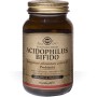 Solgar Acidophilus Bifido 60 vegetariske kapsler