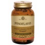 Solgar pinoflavo 30 vegetarische capsules