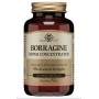 Solgar borage super geconcentreerde 30 softgels parels