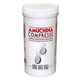 Amuchina bruistabletten desinfectiemiddel 250x2g