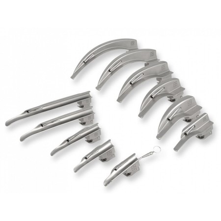 Lame fo mc-intosh no. 5 - adulte / x-large