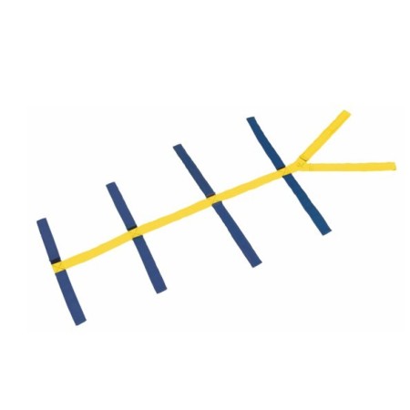 Spinriem voor ruggengraat