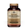 Solgar fitorodiola 60 vegetable capsules