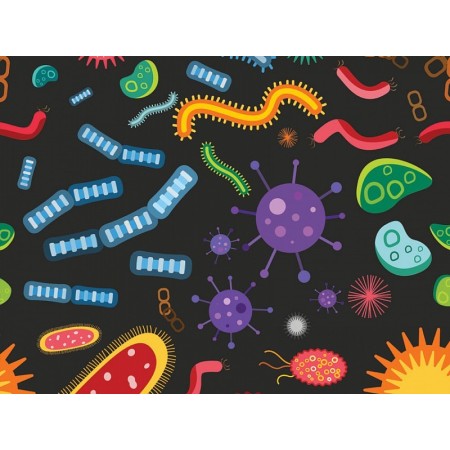 Patterned cap - biology - m