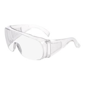 Transparent protective goggles with temples