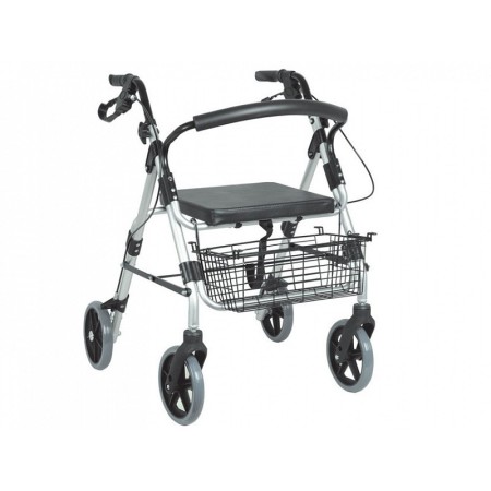 Caminante plateado - plegable