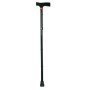 Anodized aluminum pole with non-slip tips – black color – foldable