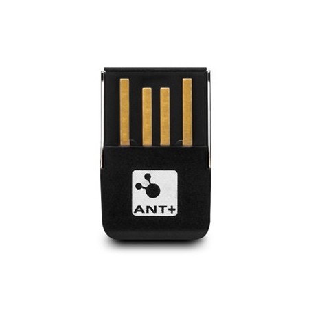 Clé usb ant chiavetta
