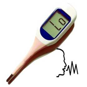 Sprechendes Thermometer mit großer Schriftanzeige