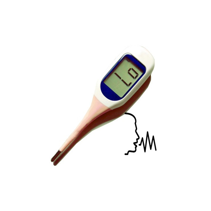 Talking thermometer with large display characters