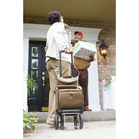 Concentrator de oxigen portabil cu baterii simplygo