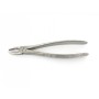 Extraction forceps - upper - fig. 1