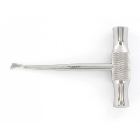 Pârghie de rădăcină de iarnă