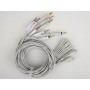 Câble ECG pour 33316 - pièce détachée