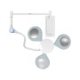 Quattroluci LED lamp - wall