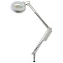 Lamp with biconvex lens and fluorescent bulb - 3dt circular lens - long arm