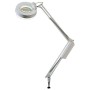 Lamp met biconvexe lens en fluorescentielamp - 3Dt ronde lens - lange arm