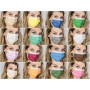 Premium Filterend Chirurgisch Masker 98% 3-laags Type II met Elastische Banden - Volwassenen - Andere Kleuren - Pack 50 stuks.