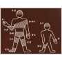 Elastic tubular mesh - size c for arm and shoulder - latex free