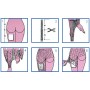 Elastic tubular net - size g for pelvis - latex free