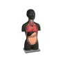 Mini Torso - África - 16 piezas