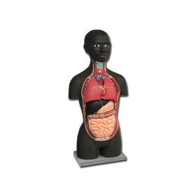 Mini Torso - Afrikanisch - 16 Teile