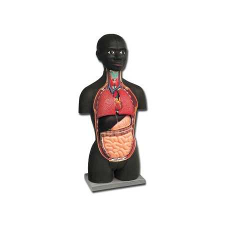 Mini torso - africano - 16 parti