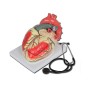 Model srdce "value" line - 3 díly - 3x