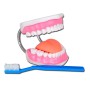 Ligne « valeur » du modèle d'hygiène dentaire