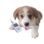 Oxy-50 veterinær pulsoximeter med software
