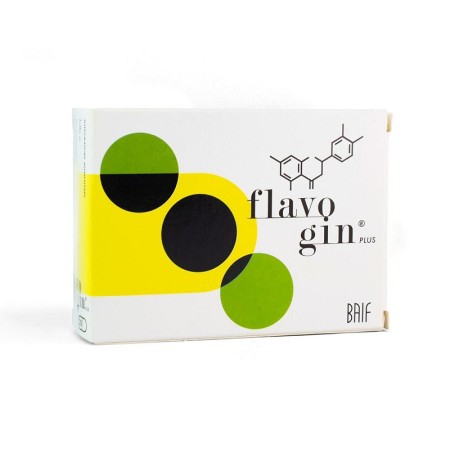 Flavogin - suplement regulatora z ginkgo biloba 30 tabletek