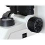 Biological microscope 40-1600x