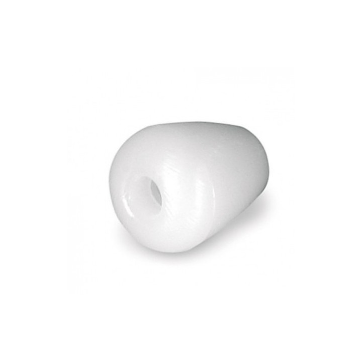 Oliva rigida Bianca In Pvc