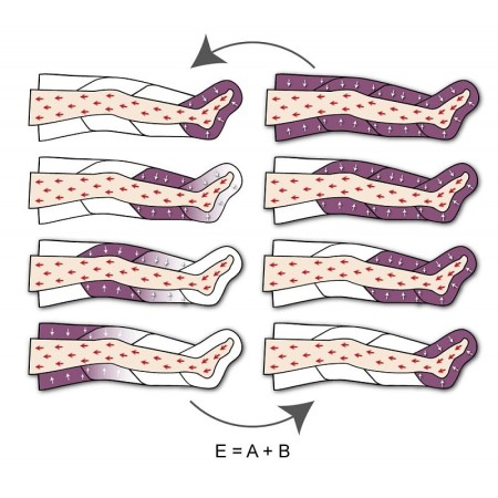 Pressoterapia perfect waves dotazione pro (2 gambali + fascia addominale + bracciale)