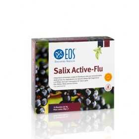 Salix Active-Flu, 12 saszetek po 3 g