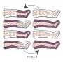 Pressoterapia perfect waves dotazione basic (2 gambali)
