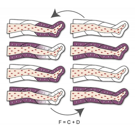 Perfect waves pressotherapy advance equipment (2 leggings + abdominal band)