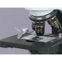 BIOLOGISCHE MICROSCOOP 40-1600X
