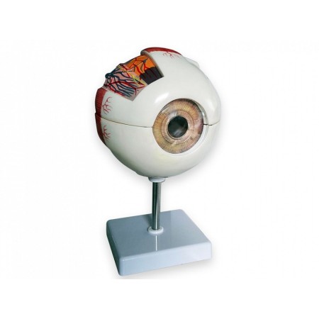 Line eye model "value" - 6 dílů