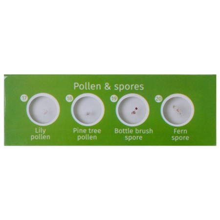 Levenhuk labzz p12 voorbereide slide set planten