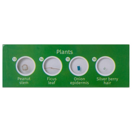 Levenhuk labzz p12 voorbereide slide set planten