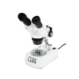 Microscopio LABS S10-60